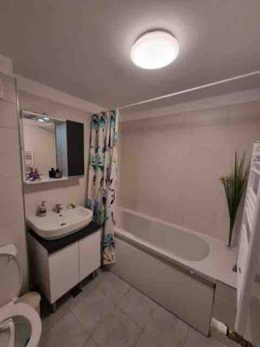 Chic Studio Pallady Lejlighed Bukarest Eksteriør billede